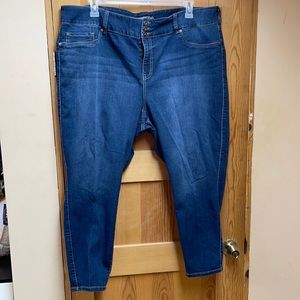 Torrid Jegging, 26 short